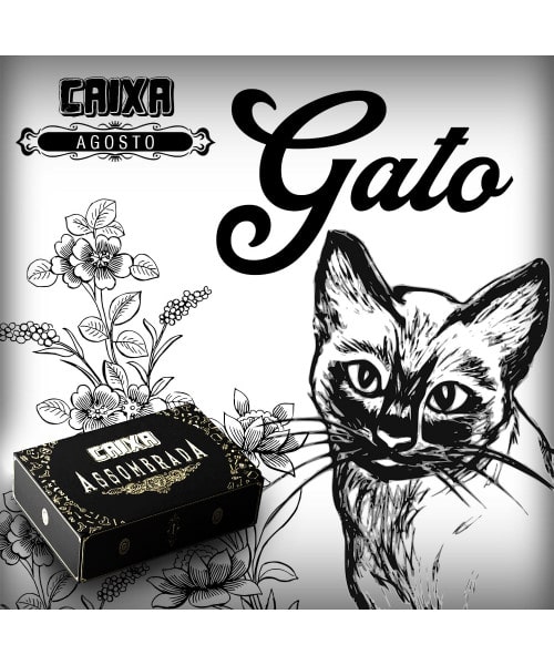 Caixa Assombrada #11 AGOSTO 2022 - GATO - SEM ASSINATURA MENSAL